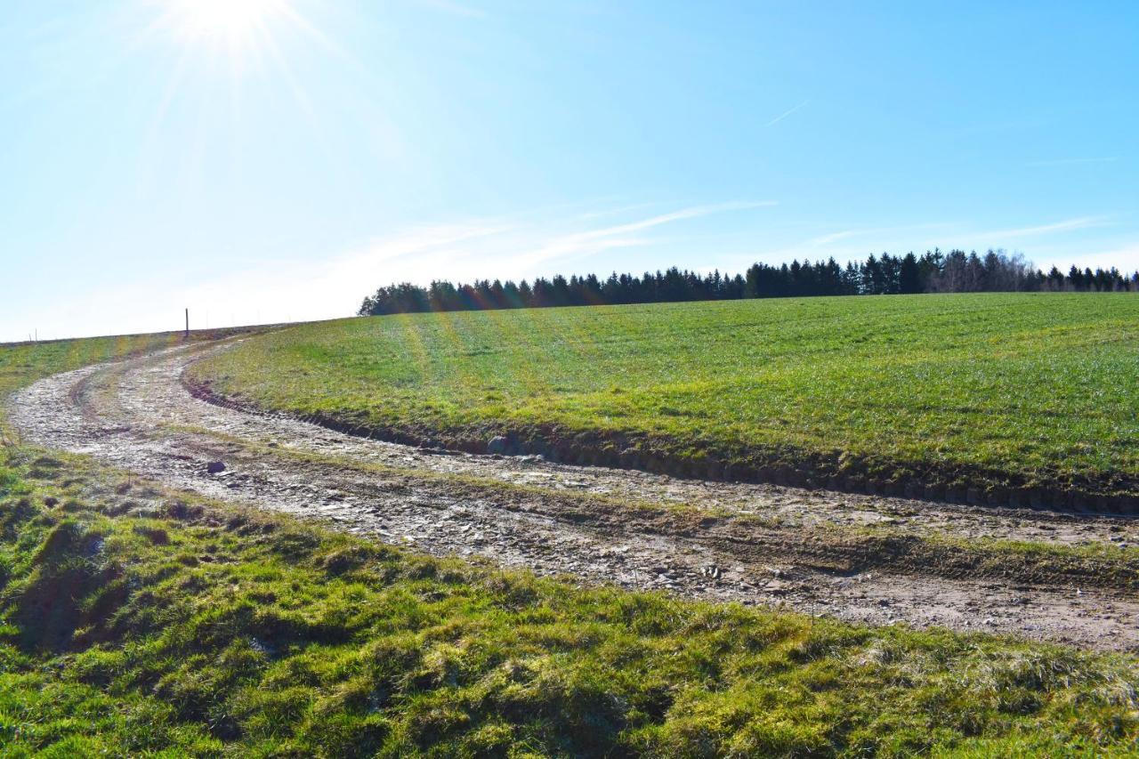 "La Vieille Grange", Au Coeur De La Nature Laveline-du-Houx Eksteriør billede