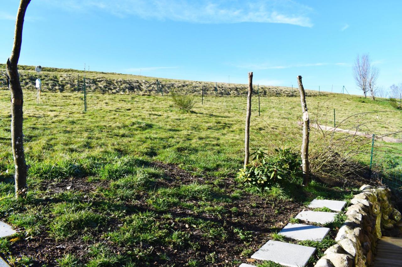 "La Vieille Grange", Au Coeur De La Nature Laveline-du-Houx Eksteriør billede